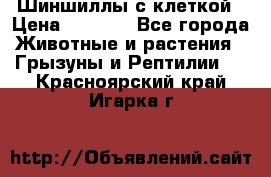 Шиншиллы с клеткой › Цена ­ 8 000 - Все города Животные и растения » Грызуны и Рептилии   . Красноярский край,Игарка г.